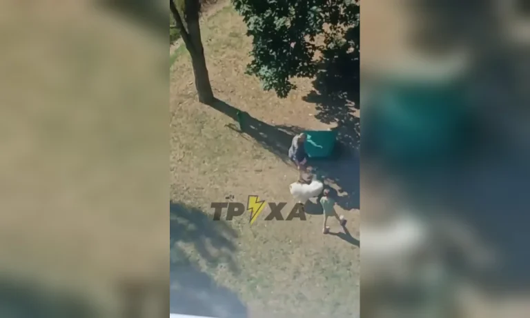 У Харкові перевіряють випадок жорстокого побиття собаки на очах у дитини
