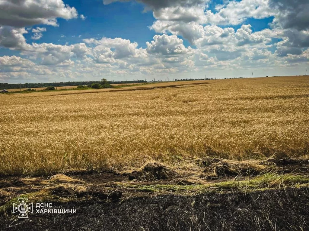 поля горіли на Харківщині через атаки БпЛА