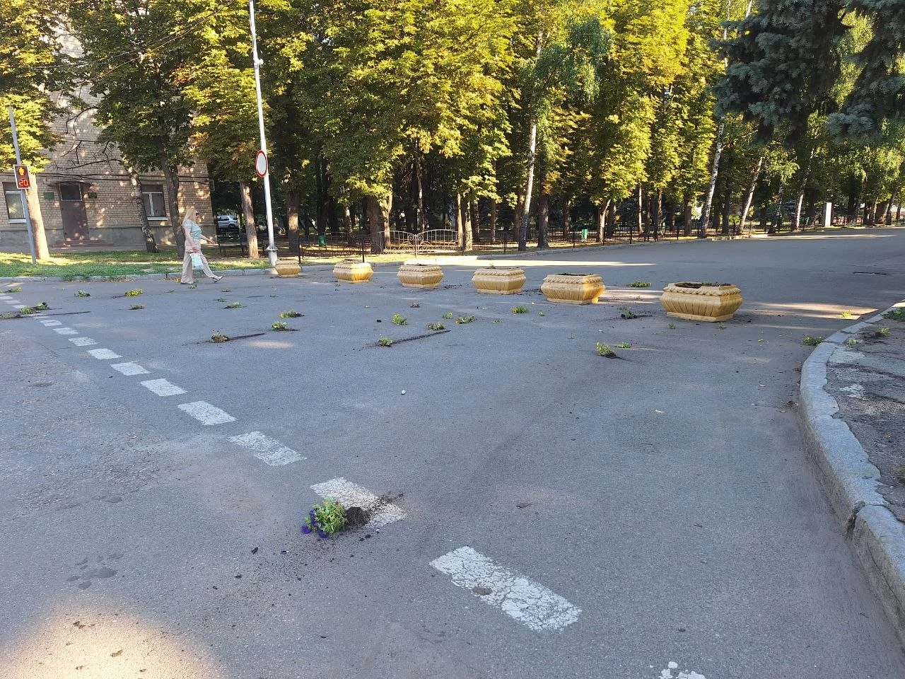 Вирвали квіти у Лозовій перед мерією 2
