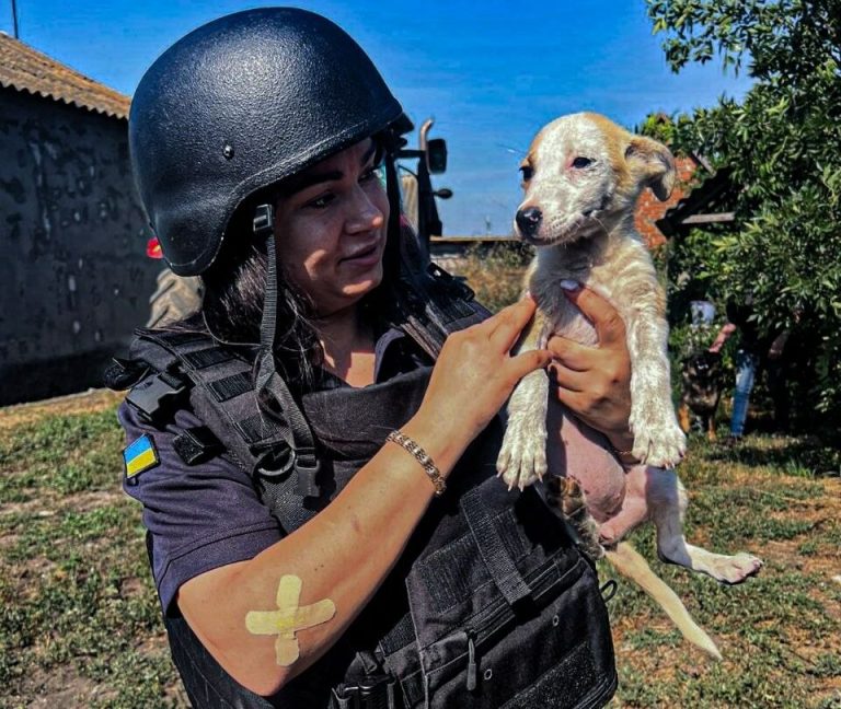 Жінку з прифронтової Гетьманівки на Харківщині вивезли рятувальники ДСНС