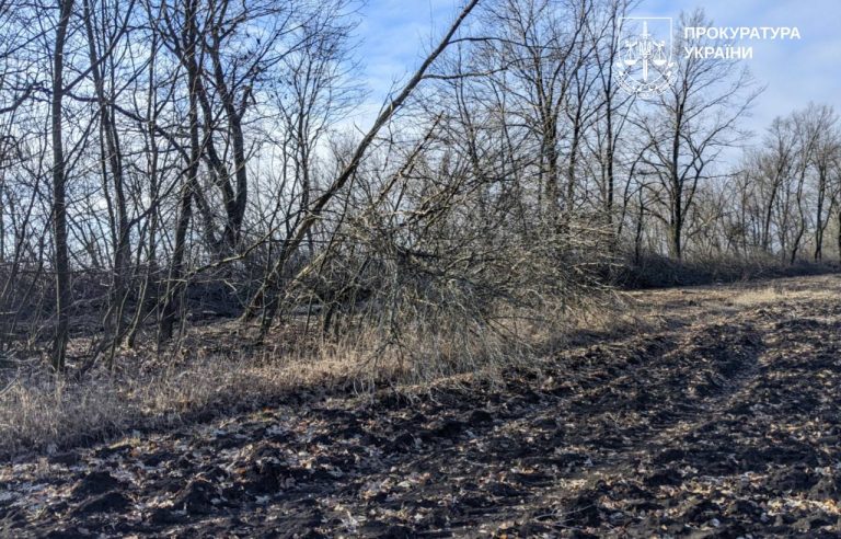 На Харківщині винесли вирок нелегальному вирубувачу лісу