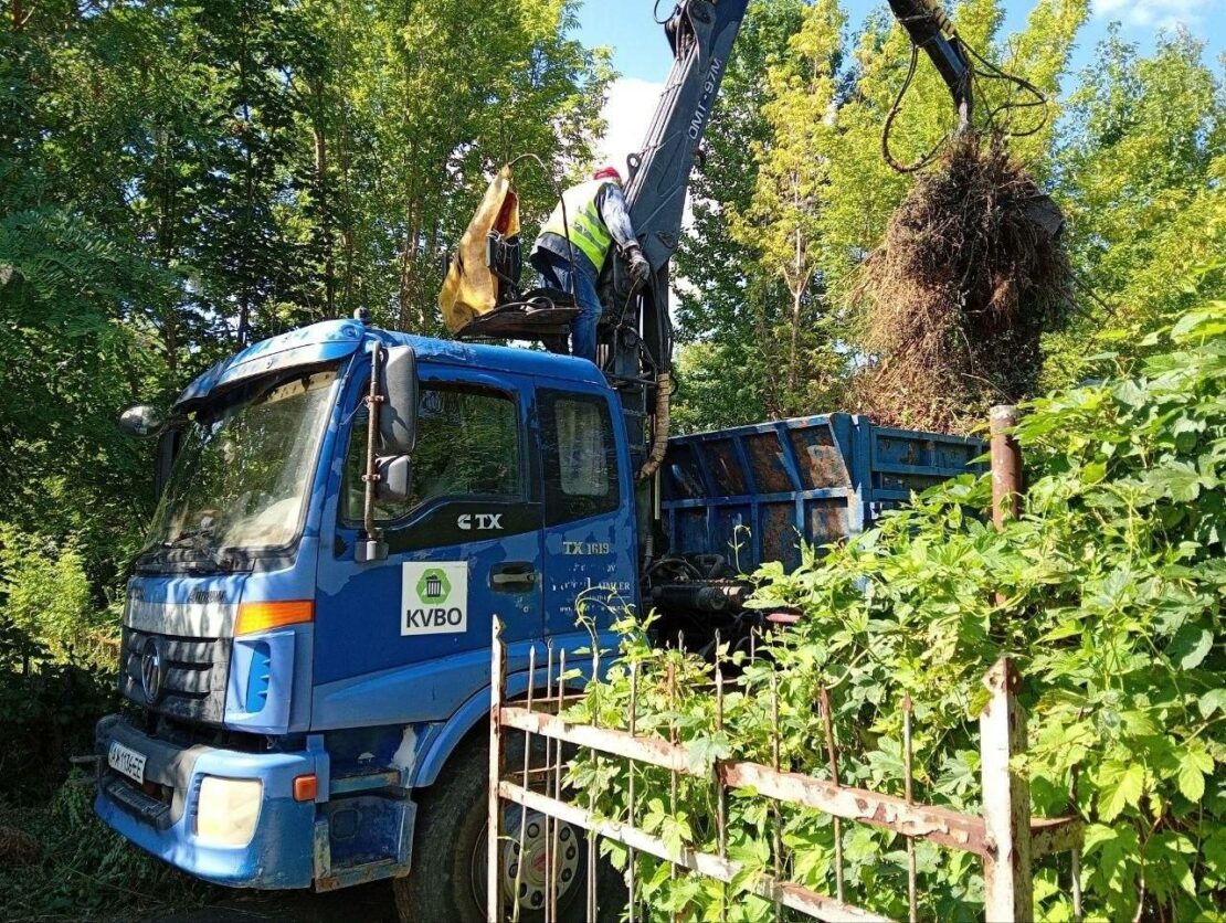 Роботи з догляду за газонами та квітниками
