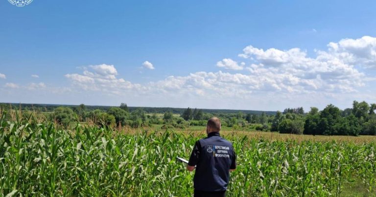 На Харківщині в бізнесмена конфіскували десятки гектарів землі