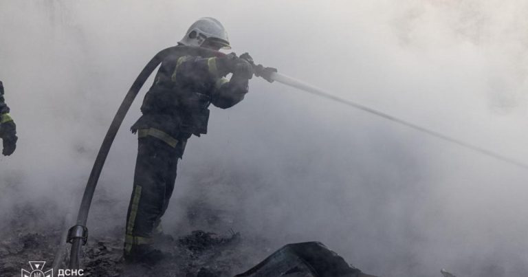 Внаслідок обстрілу на фермі в Харківській області загинуло поголів’я свиней