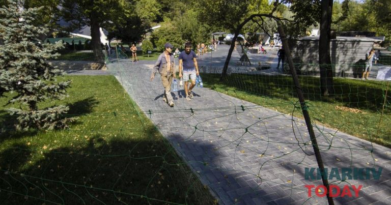 У Харкові розпочали обприскування дерев для боротьби з кліщами
