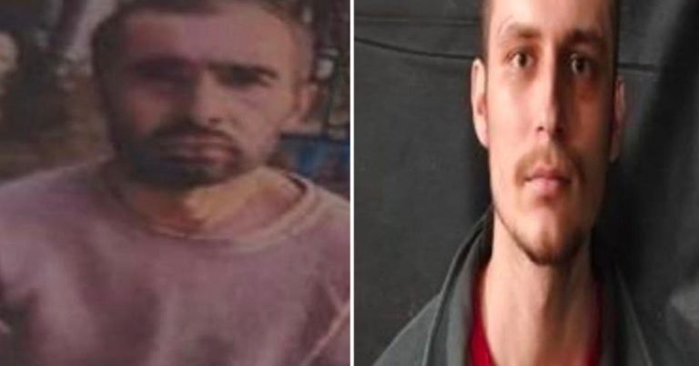 У Харківській області ліквідували росіян, які втекли з-під варти після вбивства українського військового