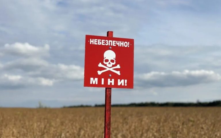 На Харківщині за тиждень знешкодили понад 450 вибухонебезпечних предметів