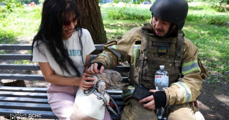 Під завалами багатоповерхівки в Харкові після обстрілу врятували кота
