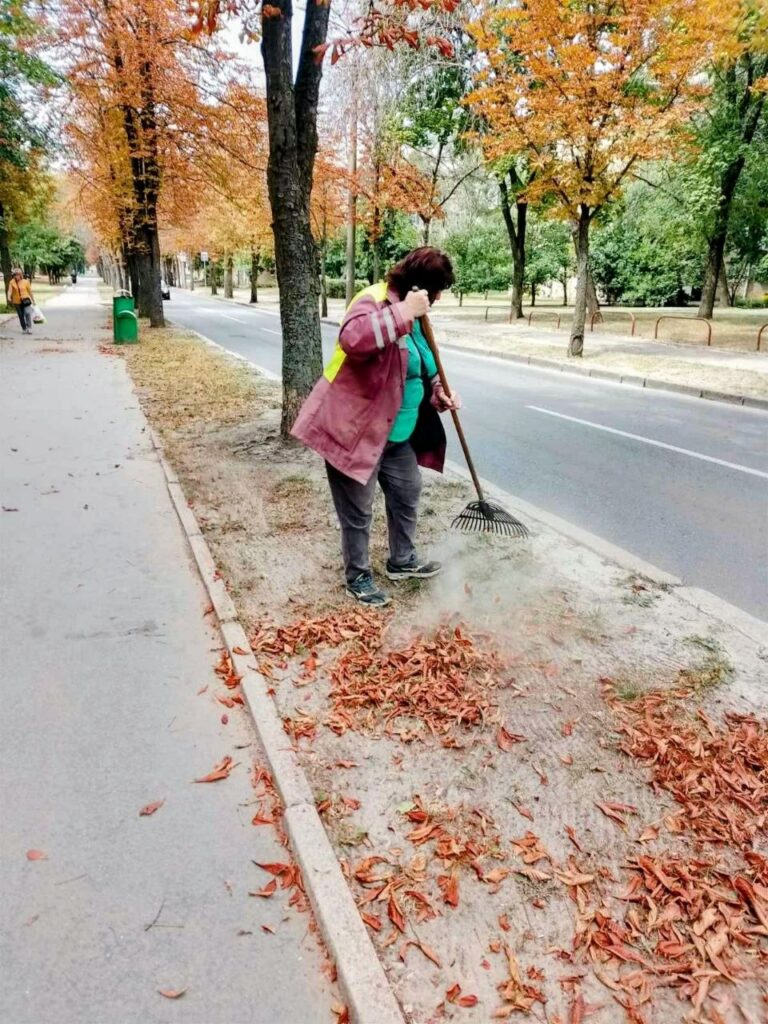 У Харкові наводять лад на прибудинкових територіях (фото)