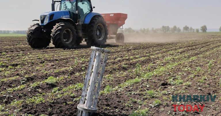 Земельний банк виставив на продаж понад сотню ділянок у Харківській області