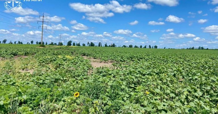 На Харківщині у підприємниці відібрали 240 гектарів землі