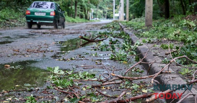 Через грозу та пориви вітру в Харкові частково знеструмлено райони