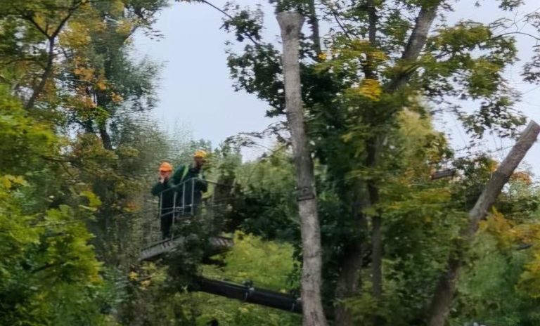У Харкові комунальники відновлюють і доглядають парки та сквери