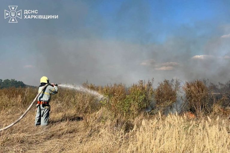 Минулої доби в екосистемах Харківщини зафіксували 13 пожеж