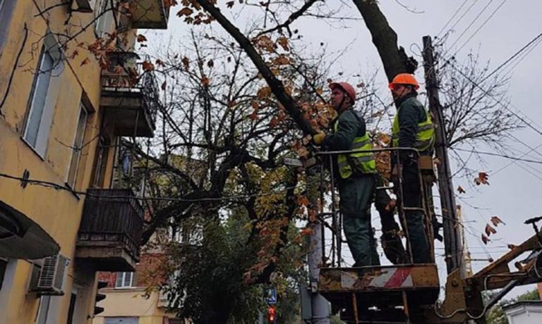 У Харкові зрізають аварійні дерева та вивозять гілля