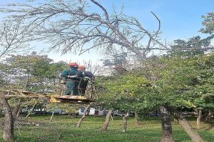 Після недавньої негоди у Харкові ліквідують наслідки (фото)