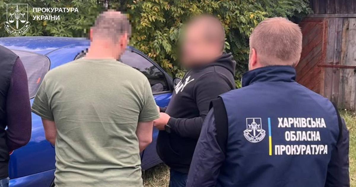 Поліція розшукує причетних до таємної вирубки 650 сосен у лісі на Харківщині