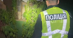 У Харківській області підозрюють 44-річного чоловіка у вирощуванні конопель