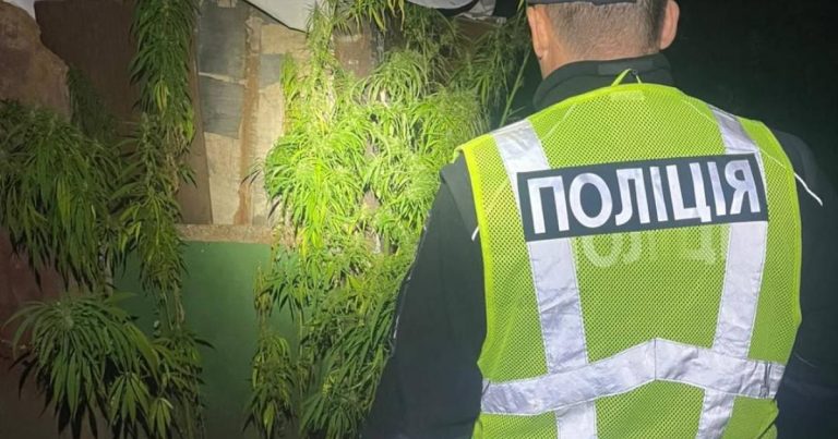 У Харківській області підозрюють 44-річного чоловіка у вирощуванні конопель