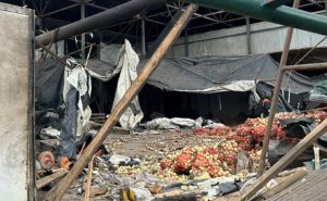 Удар по агрокомпанії на Харківщині: масштаби руйнувань