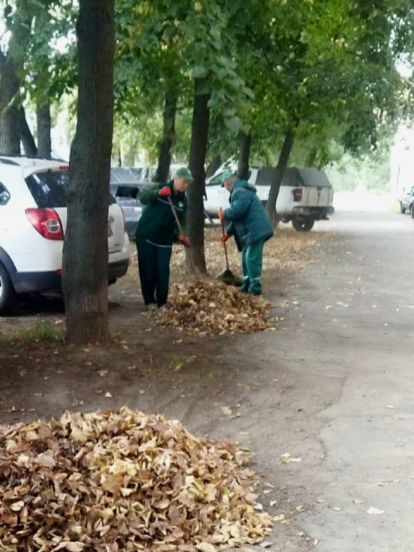 Підготовка ділянки для висадки саджанців