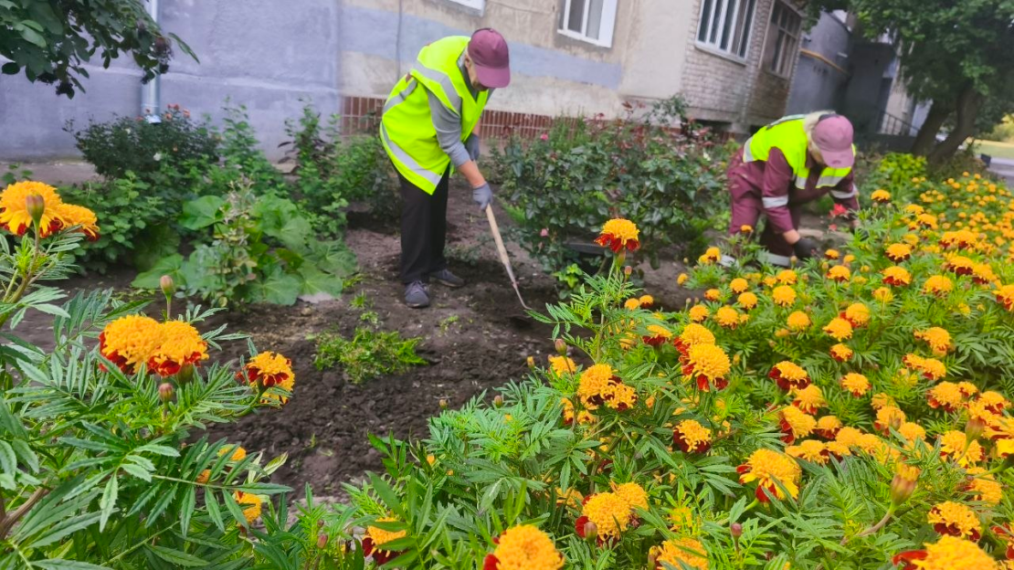 Заготівля насіння та робота озеленювачів