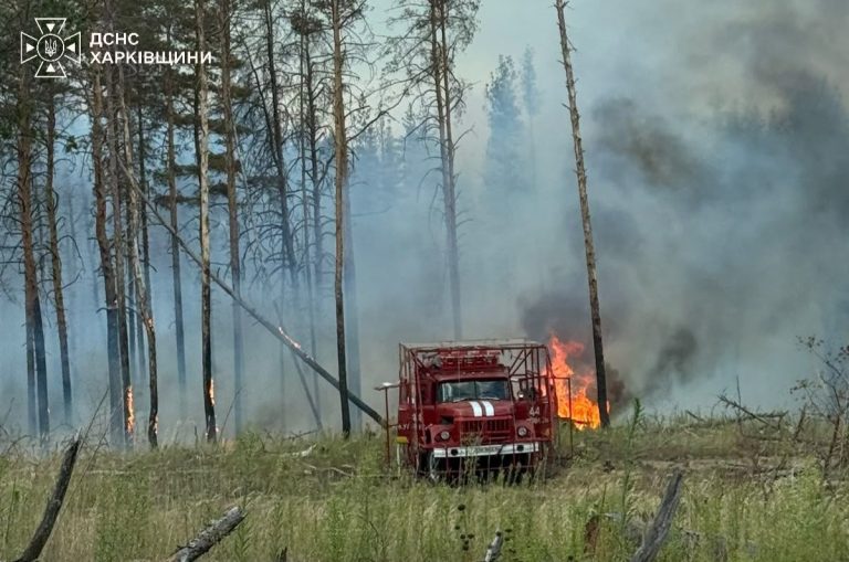 На Харківщині рятувальники ліквідовують сім лісових пожеж