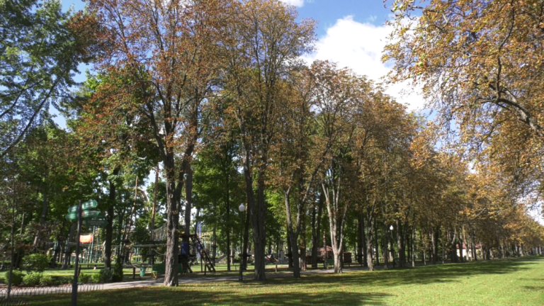 Білки, осіння тиша та алеї: сучасне життя Центрального парку Харкова