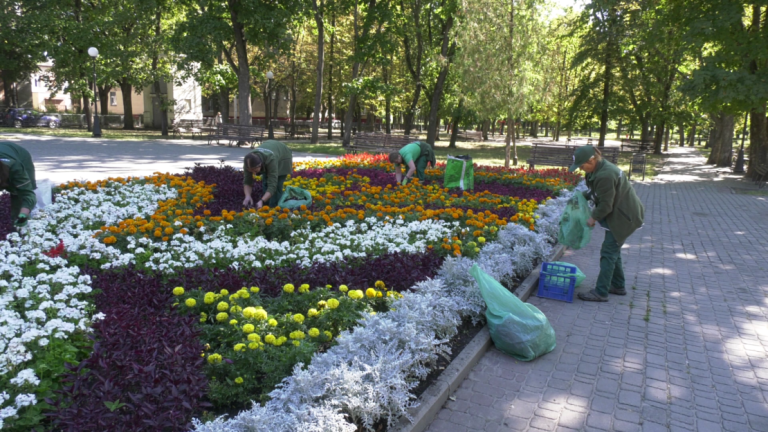 Навесні знову зацвітуть: як у Харкові готують клумби та рослини до нового сезону