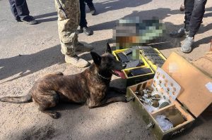 Бійці слобожанських «Скіфів» на блокпості під Харковом вилучили понад 100 кг отруйної вибухівки