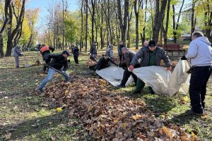 Комунальні бригади в харківських зелених зонах збирають опале листя — фото