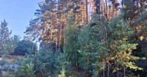 На Харківщині незаконно віддали в оренду землі заказника