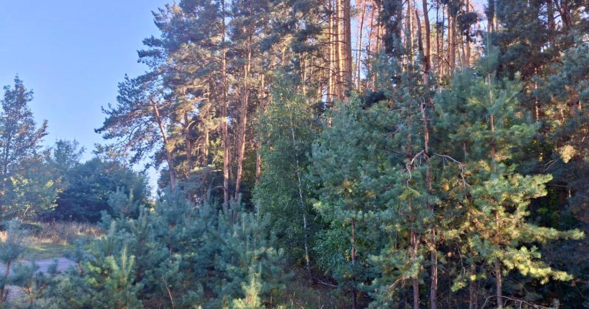На Харківщині незаконно віддали в оренду землі заказника