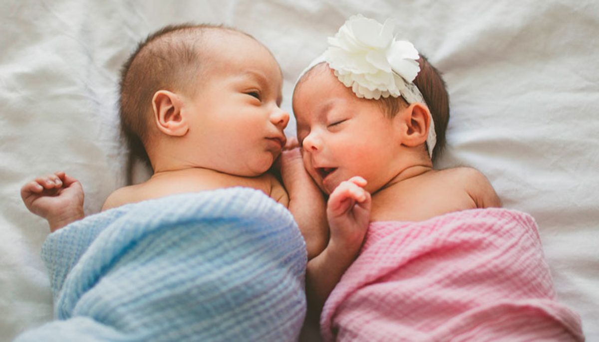 Наприкінці минулого тижня в Харкові на світ з'явилися королівські близнючата