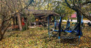Після обстрілу парку на Харківщині зросла кількість загиблих