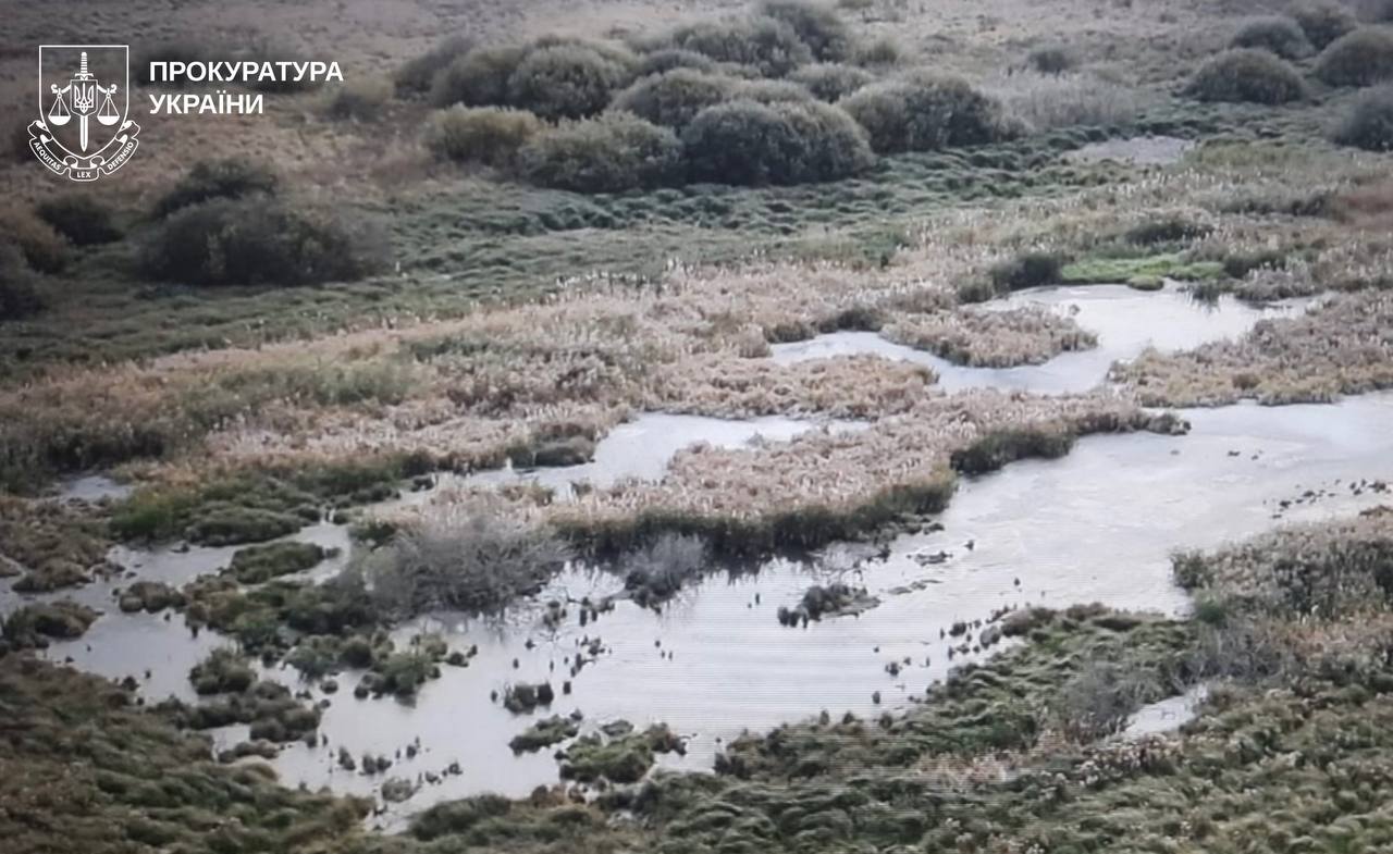 Прокуратура Харківщини відкрила провадження через забруднення річки