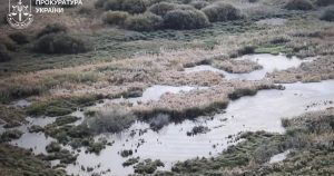 Прокуратура розпочала розслідування через побілення води в річці Мерла на Харківщині