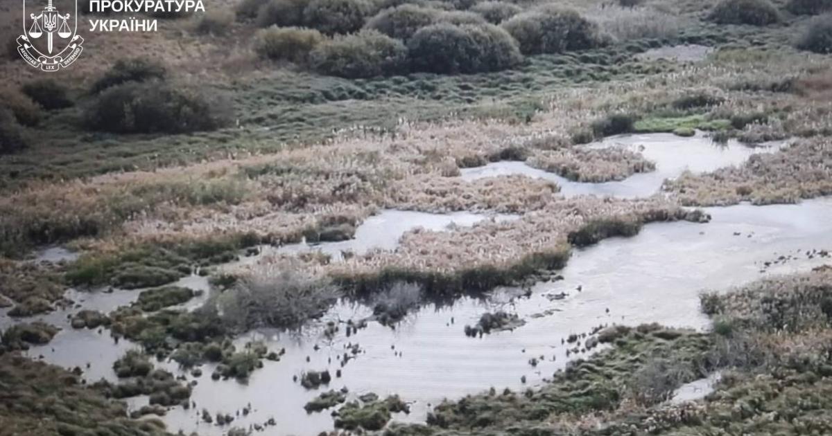 Прокуратура розпочала розслідування через побілення води в річці Мерла на Харківщині