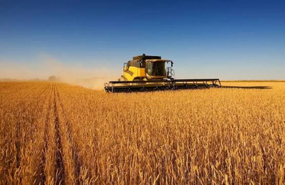 У Харківській області нарахували більше ніж 2,3 млн т зернового врожаю