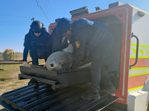 У Харківській області сапери ДСНС виявили та забрали 500-кілограмову авіабомбу