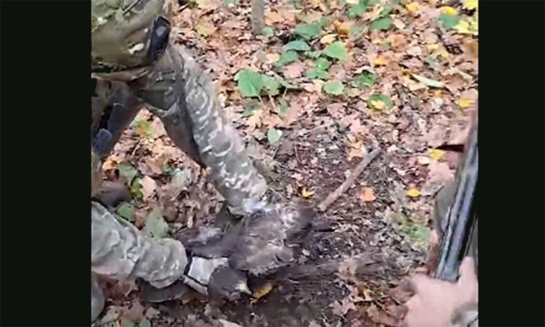 У Харківській області витягли пташку з волоконно-оптичного кабелю