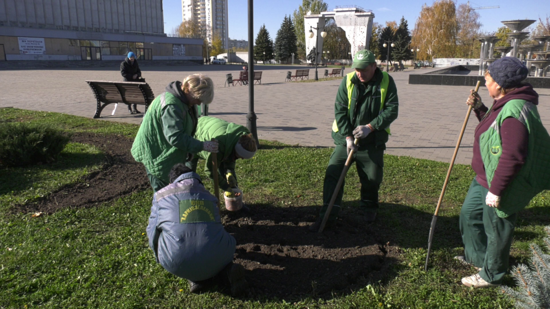 У Харкові більше ніж 150 000 одиниць посадкового матеріалу задіяли для зменшення витрат на облаштування міських зелених зон
