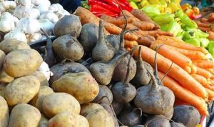 У Харкові підвищилася вартість щойно зібраної садово-городньої продукції