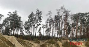 У Харкові з'явиться екологічний заказник — мерія схвалила ініціативу волонтерів