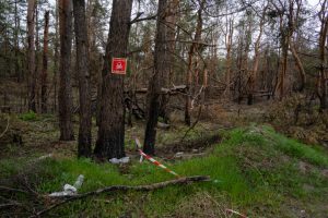 У лісовому масиві Харківщини чоловік зазнав ушкоджень внаслідок детонації вибухового пристрою