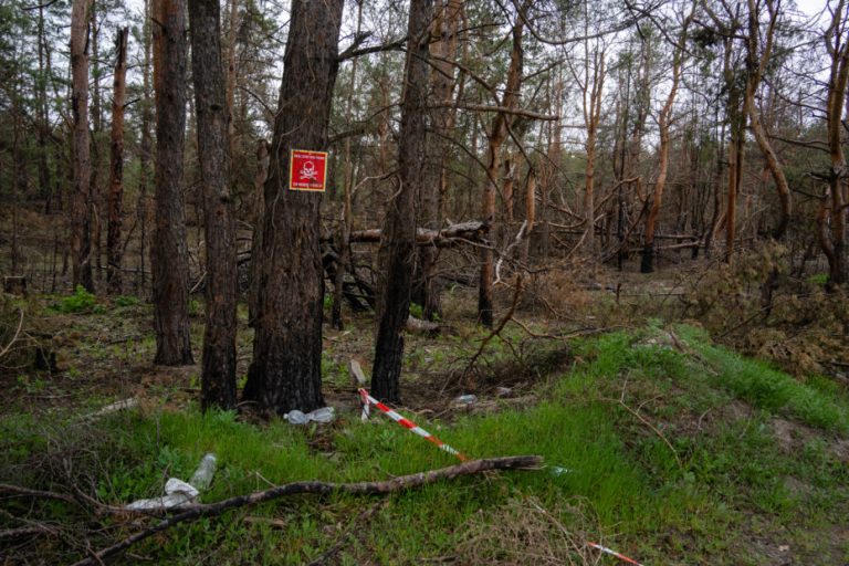 У лісовому масиві Харківщини чоловік зазнав ушкоджень внаслідок детонації вибухового пристрою