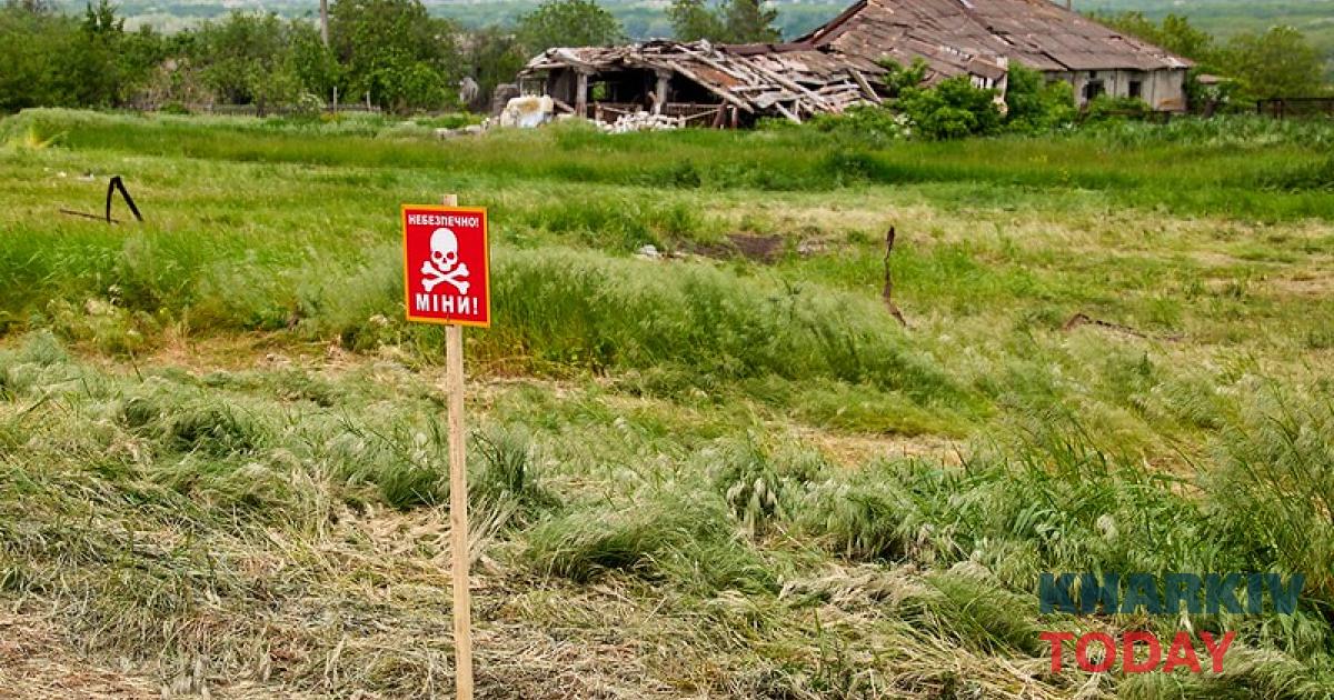 У полі на Харківщині прогримів вибух: загинула одна людина