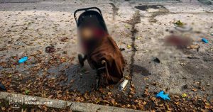 Внаслідок обстрілу РФ у Харківській області загинула однорічна Ангеліна у візочку, її мати померла в лікарні