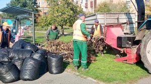 За тиждень із Харкова вивезли 940 кубометрів гілля