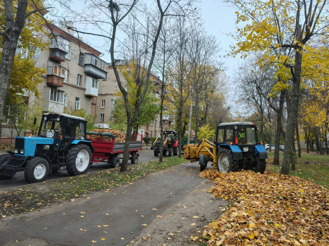 Прибирання листя в районі — фото 3